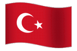 Türkçe